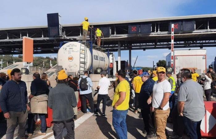 Riapre l'autostrada A9 alla frontiera spagnola, il coordinamento rurale toglie il blocco a Boulou