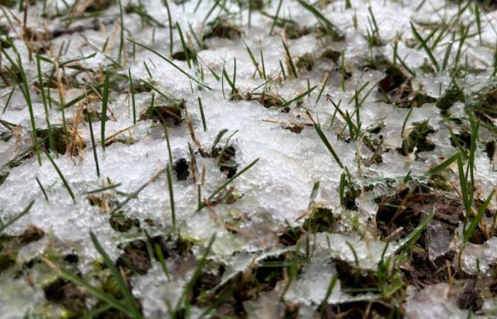 Sta arrivando la neve. Ecco quanto e quando