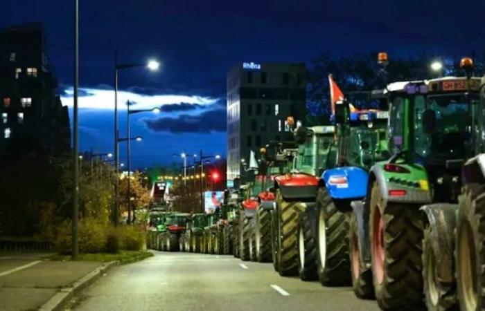 Mobilitazione degli agricoltori: il governo condanna blocchi e danni