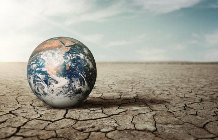 Qual è il costo reale del cambiamento climatico?