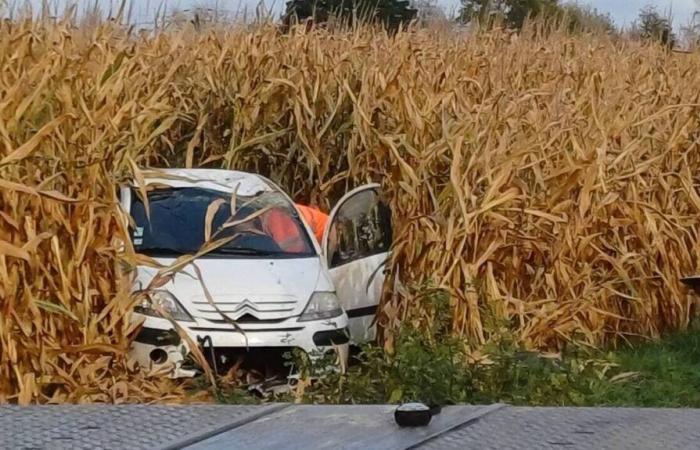 Perde il controllo della sua auto e finisce in un campo di grano nel Maine-et-Loire