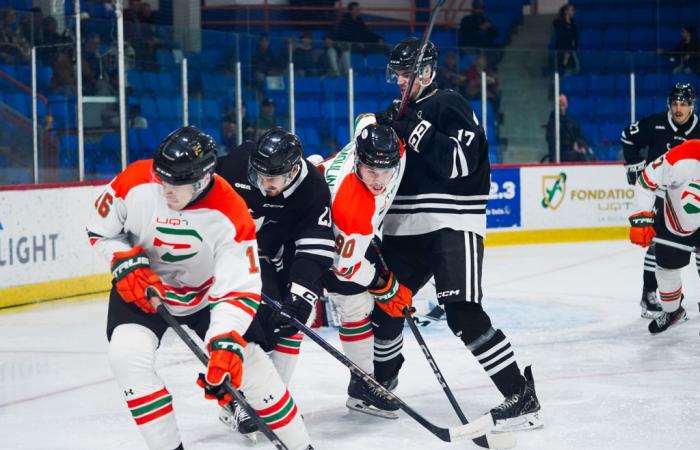 I Pats perdono 2-1 contro i Ravens • Néo UQTR