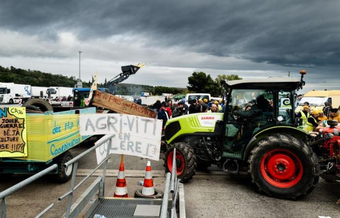 Agricoltori arrabbiati – Fine del blocco dei camion alla frontiera franco-spagnola: “Se gli altri sindacati agricoli fossero venuti a sostituirci, avremmo potuto continuare ancora a lungo”