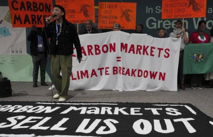 Alla COP29, i mercati del carbonio verranno riformati. Per il meglio?