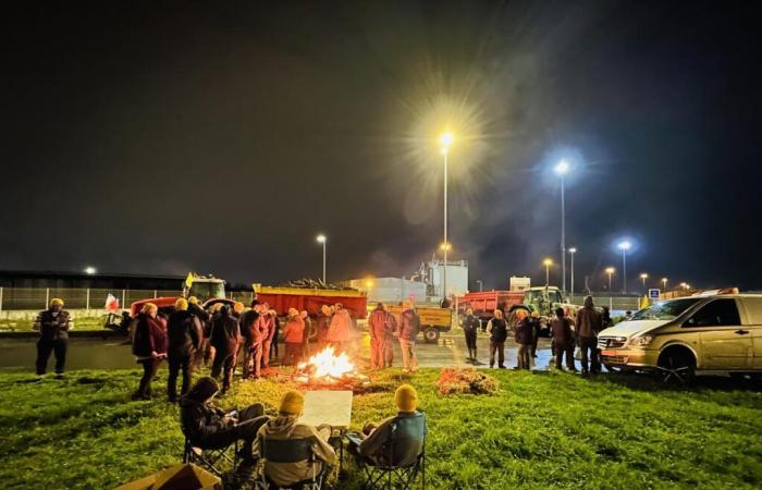 i trattori sono arrivati ​​a Bordeaux e occupano il porto di Bassens, rivivi la giornata di questo mercoledì