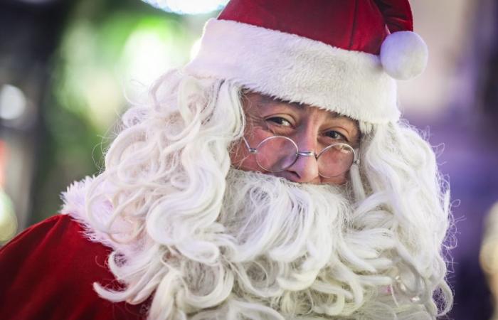 “Al cancello non si precipita nessuno”, indossare il costume biancorosso non è più un sogno