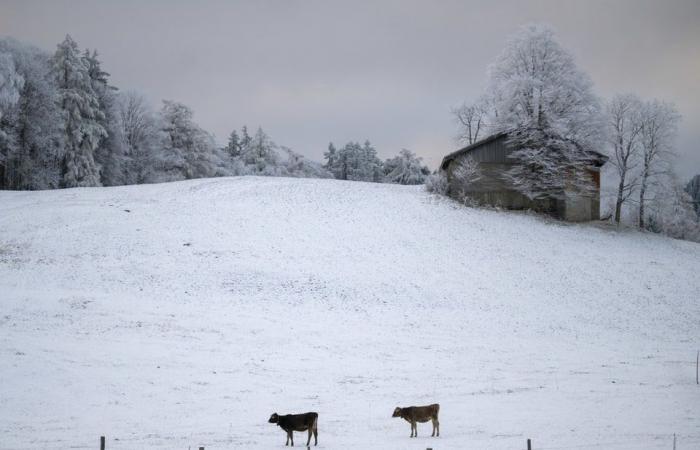 Sta arrivando la grande nevicata adesso? -Notizia