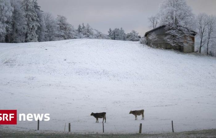 Sta arrivando la grande nevicata adesso? -Notizia