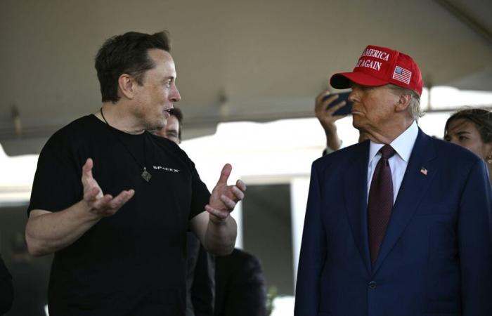 In nome dell’efficienza del governo, Elon Musk attacca il telelavoro dei dipendenti pubblici americani