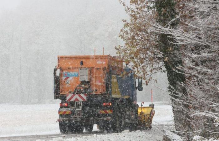 Neve: previste fino a 20 centimetri nelle pianure dell'Alsazia