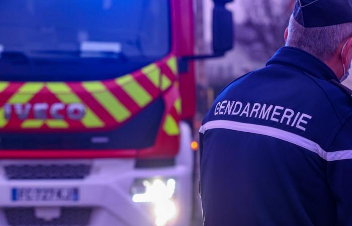 Uomo ucciso a colpi di arma da fuoco mentre faceva propaganda porta a porta, sospetto autore in custodia di polizia