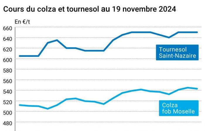 COTidienne | Semi oleosi – Calo dei prezzi di colza e soia in un contesto di vendite tecniche dopo i rincari dei giorni precedenti