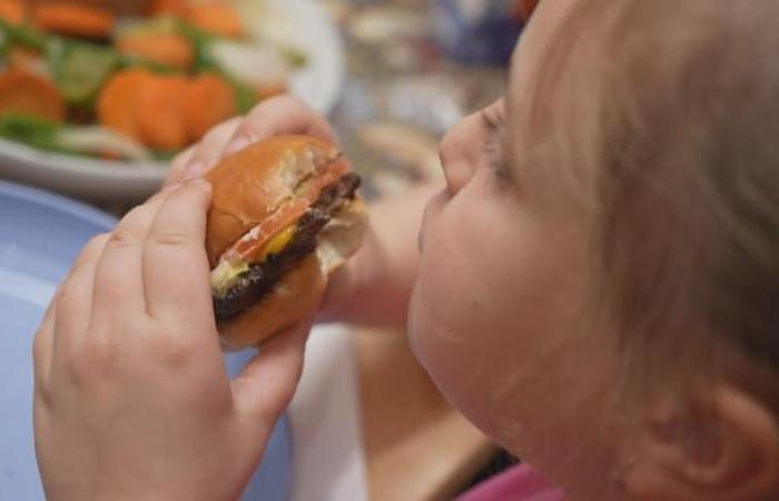 Pizze, crocchette e spaghetti: menù per bambini congelati nel tempo