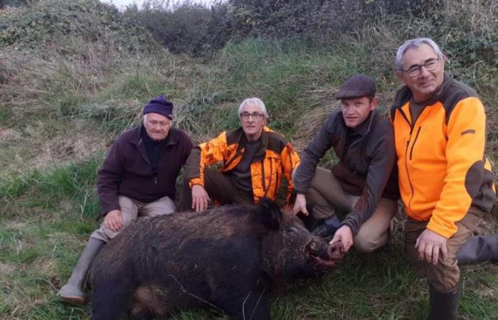 Un cinghiale di 205 chili nella Charente Maritime