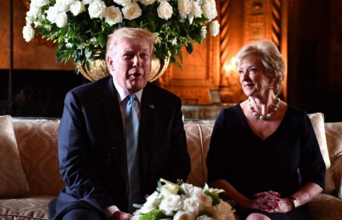 Il boss della WWE Linda McMahon guiderà la visione di Trump di un'educazione “patriottica”.