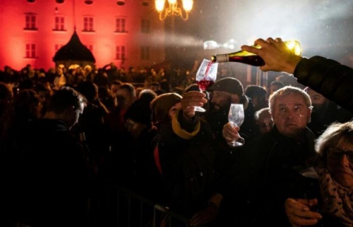 Beaujolais nouveau 2024, accuratamente rimuginato dopo la pioggia: Novità