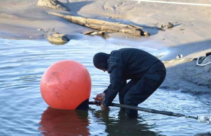 Cavi danneggiati nel Mar Baltico: il Cremlino ritiene “ridicolo” accusare la Russia