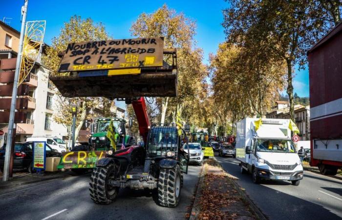 La rabbia dei contadini di Agen. La CR vuole bloccare i noli, i centri d'acquisto… E ancora le affinità?