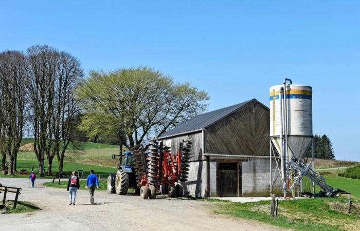 Dove si fermeranno i prezzi dei terreni agricoli?