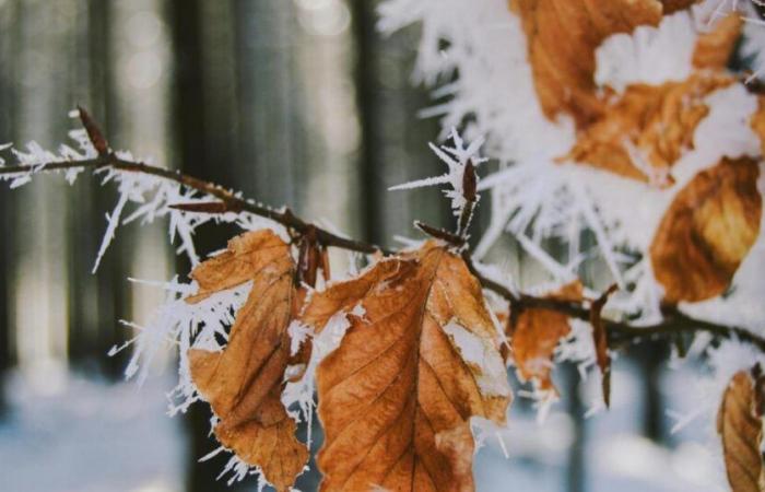 Previsioni meteo del Met Office per Hexham, Northumberland