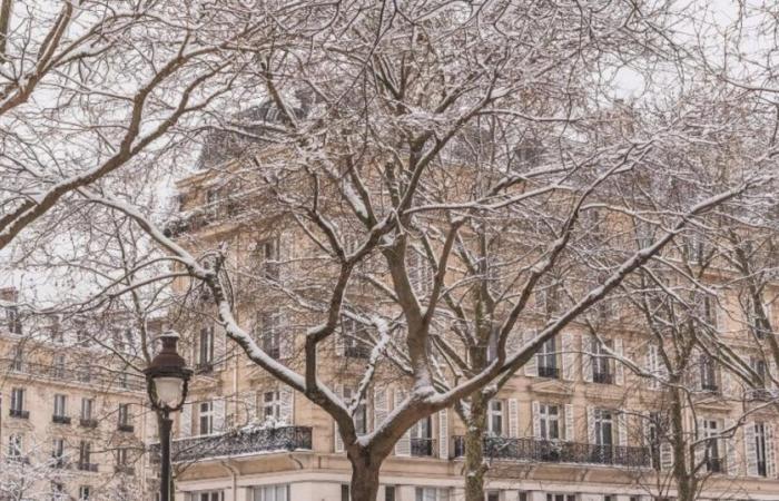 Neve nell'Île-de-France questo giovedì: cosa aspettarsi