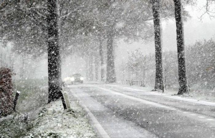 La prima neve produce un tappeto bianco: codice giallo per condizioni scivolose stasera e stasera durante la prima iniezione invernale nelle Fiandre