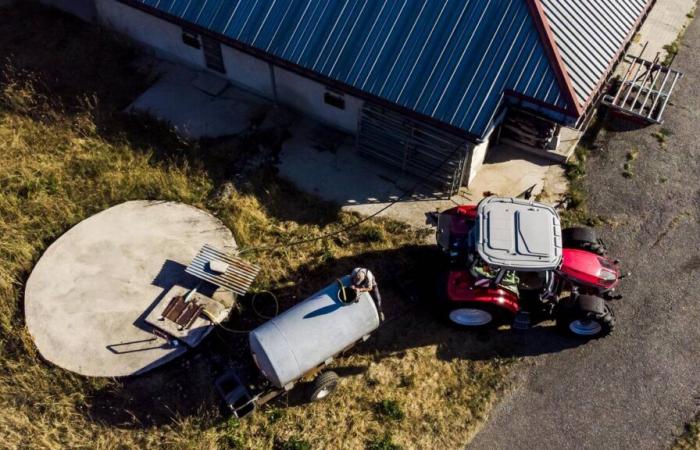 Lacune e inadeguatezze nella gestione dei sussidi agricoli vodesi