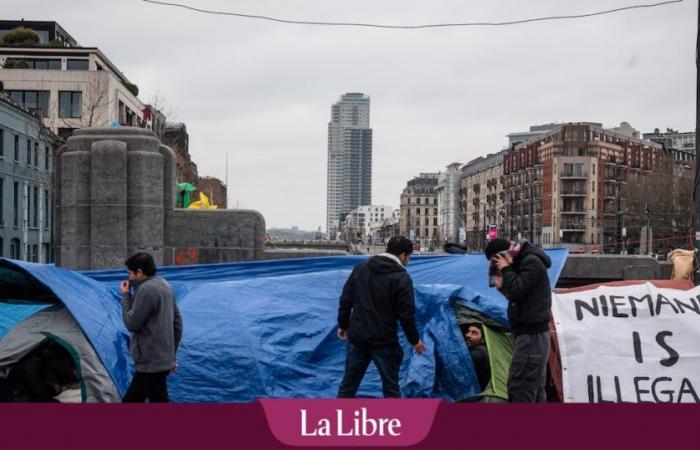 “Il governo deve finalmente capire che le decisioni dei tribunali non possono essere prese à la carte”