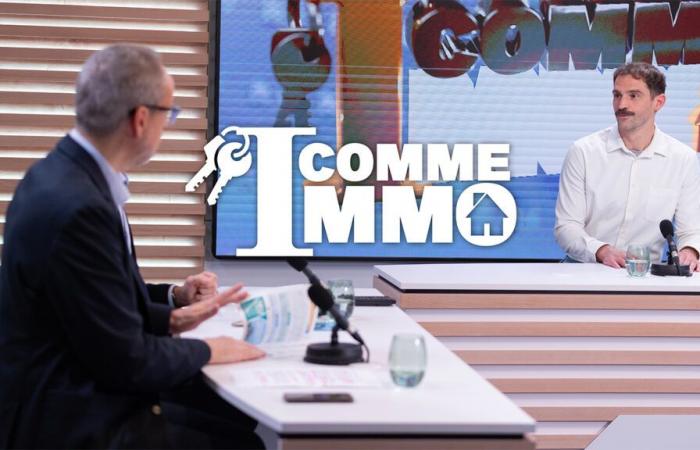 Mi piace novembre 2024 Immo