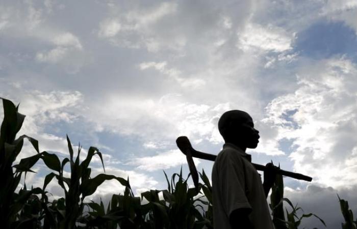 In Malawi i candidati all’emigrazione in Israele mostrano la loro insofferenza