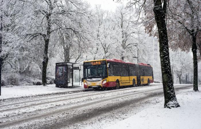 neve dalla Bretagna all'Alsazia, fino a 10 cm e decine di vigilanze questo giovedì