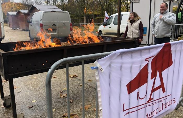 una manifestazione pacifica di agricoltori