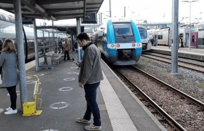 Charente-Maritime: sciopero questo giovedì alla SNCF contro la privatizzazione di Merci e TER