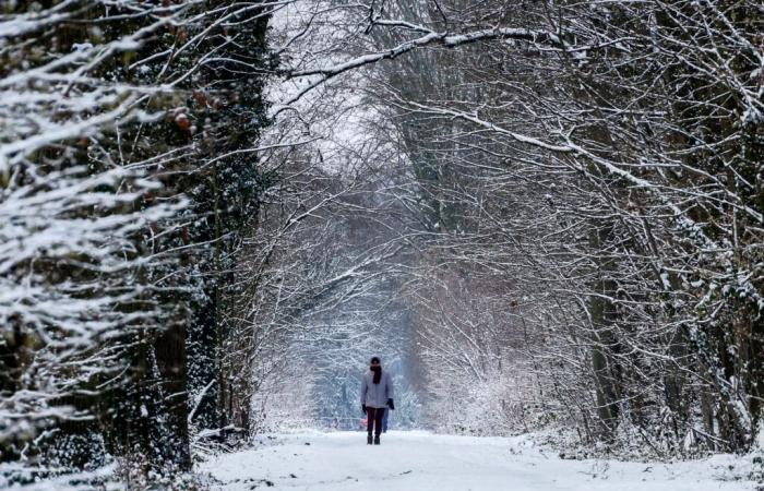 ondata di freddo e prime nevicate in pianura