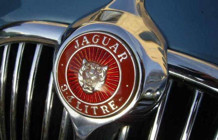 Jaguar, un nuovo logo per gli aperitivi