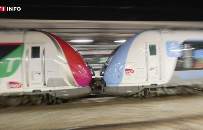 Sciopero alla SNCF: traffico interrotto domani in Île-de-France, scopri le previsioni