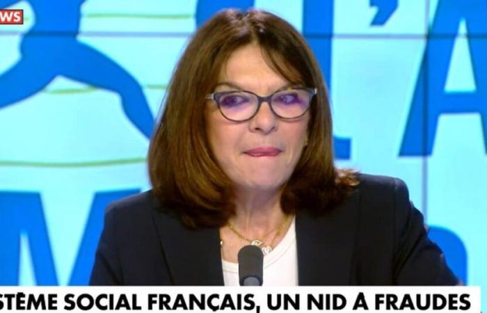 A cosa corrispondono gli 850 miliardi di euro di prestazioni sociali in Francia denunciati dai media Bolloré? – Liberazione