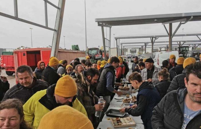 Sulla strada per la Gironda, gli agricoltori del Lot-et-Garonne prendono di mira un supermercato a Marmande