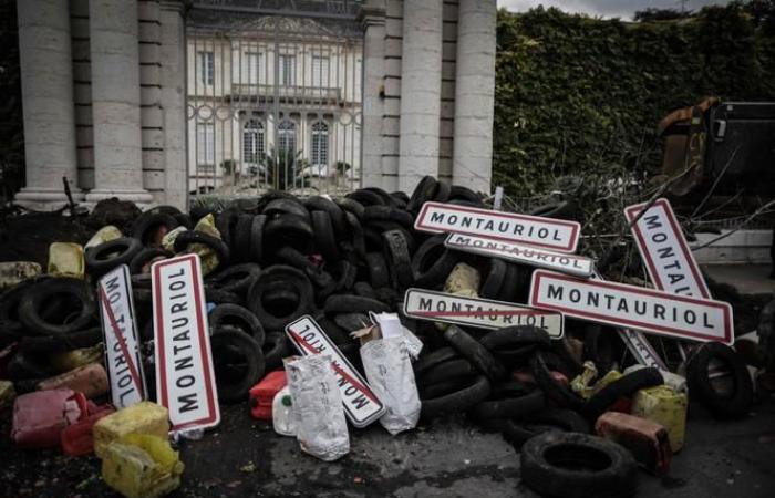 Mercoledì sera il Coordinamento rurale blocca il porto di Bordeaux; la FNSEA annuncia nuove azioni la settimana del 25 novembre