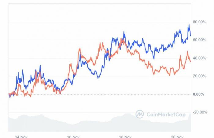 Vincitori di giornata di BTC, GOAT e BONK!