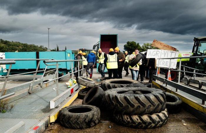 Agricoltori arrabbiati – Fine del blocco dei camion alla frontiera franco-spagnola: “Se gli altri sindacati agricoli fossero venuti a sostituirci, avremmo potuto continuare ancora a lungo”