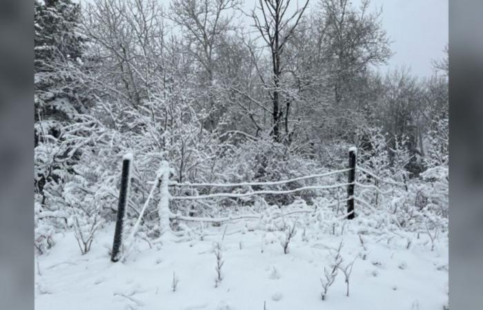 Meteo Manitoba: forti nevicate, forti venti nella parte occidentale del Manitoba