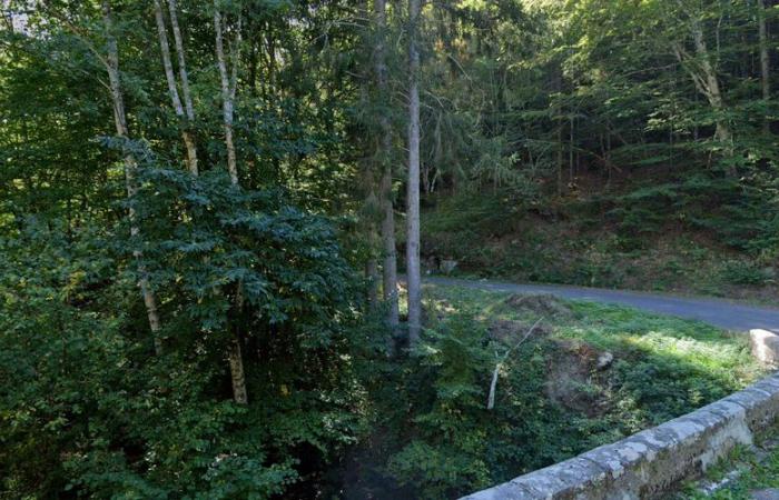 Scomparsa di Yann Escande nel Tarn: ritrovati in un bosco un'auto e un corpo carbonizzato