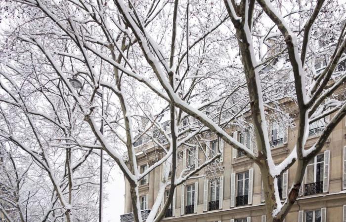 sta arrivando la neve a Parigi e nell'Île-de-France, il tempo che vi aspetta nella regione