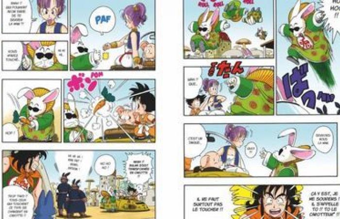 Ancora sulla sua “nuvola magica”, “Dragon Ball” festeggia il suo 40° anniversario ed è ancora più attraente che mai