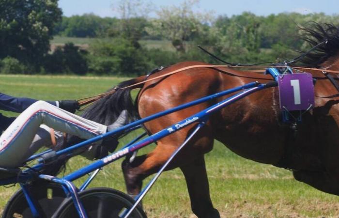 Cancellate le gare equestri in Francia