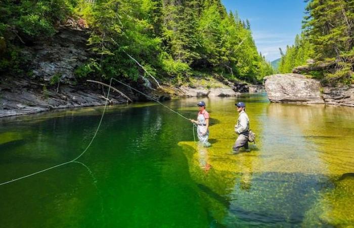 Preoccupazione “grande, grande, grande” per il salmone atlantico