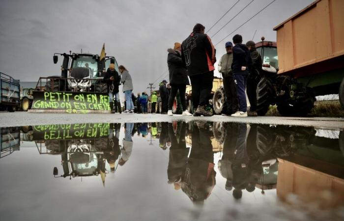 La rabbia dei contadini. In Gironda, i “berretti gialli” assediano il porto di Bordeaux e un centro acquisti