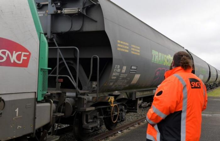 il movimento per Fret SNCF è stato moderatamente seguito in tutto il gruppo – L’Express