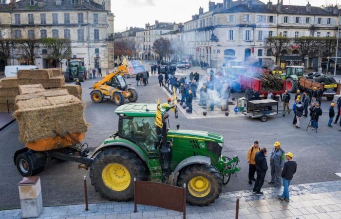 “Bloccare permanentemente il Paese non è accettabile”, reagisce il ministro dell’Agricoltura a France 2